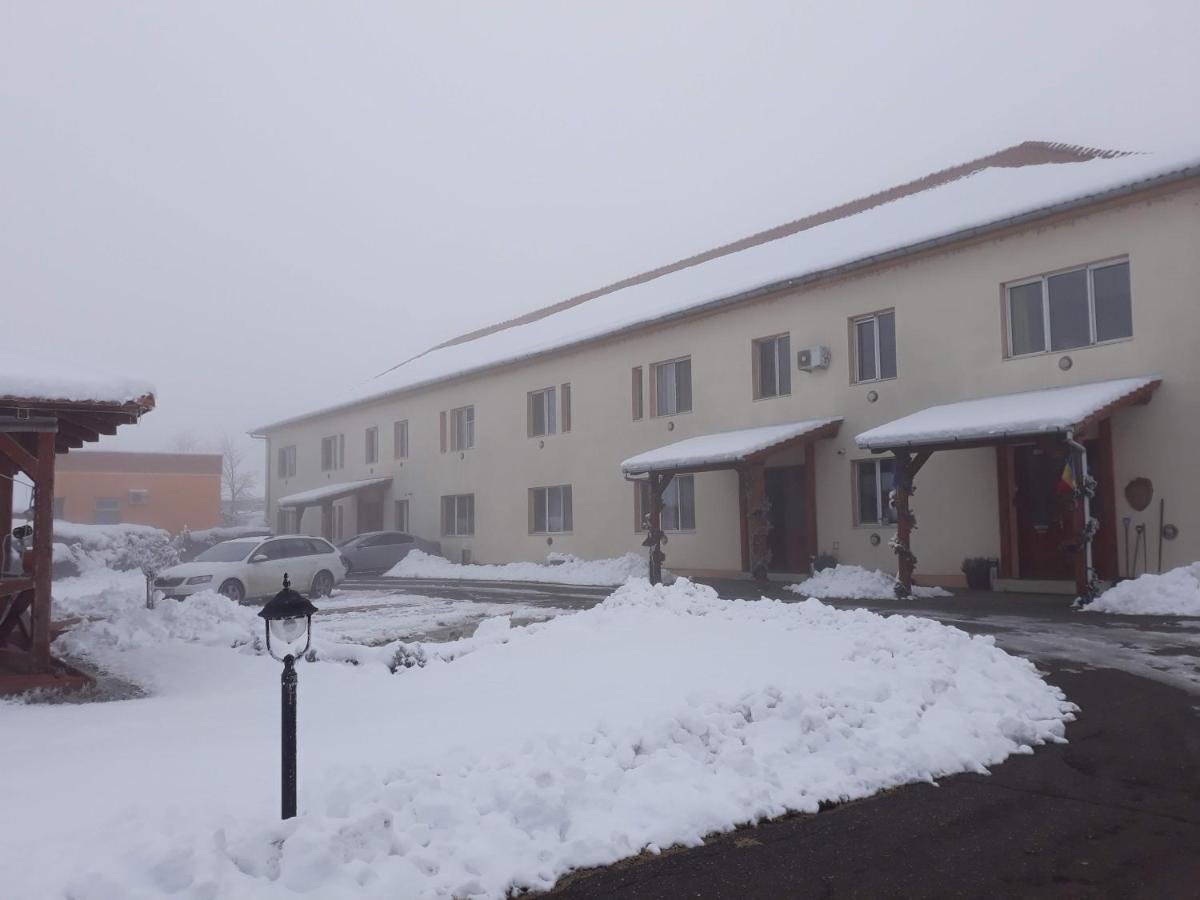 Vila Zoppas Inn Sînnicolau Mare Eksteriør bilde