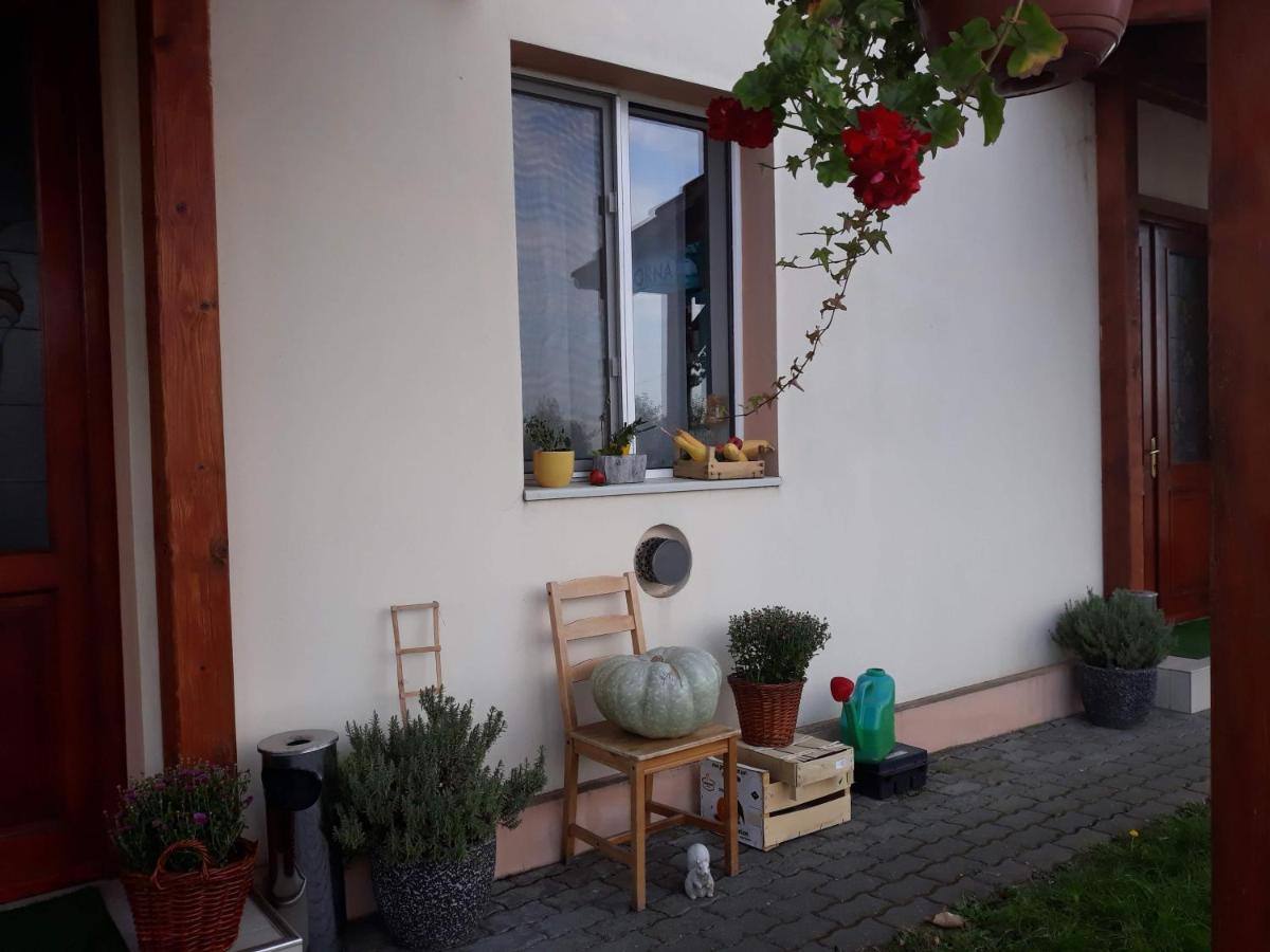 Vila Zoppas Inn Sînnicolau Mare Eksteriør bilde