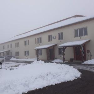 Vila Zoppas Inn Sînnicolau Mare Eksteriør bilde